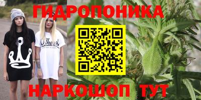 ECSTASY Пушкино